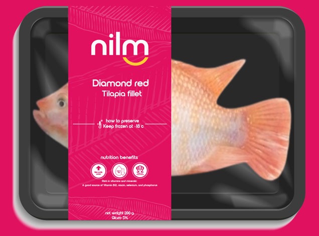 2. Diamond Red Tilapia Frozen Fillet